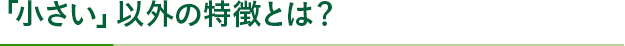 「小さい」以外の特徴とは？